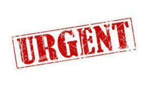 Info Licences