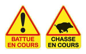 Battue de chasse